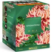 Фейерверк Хризантемы. Купить Фейерверк Хризантемы Z1032 — магазин продажа салютов недорого —  Тотьма, производитель Русский фейерверк - Русская пиротехника, доставка по России  +7 963 711 89 03 — Тотьма | totma.piroclub.ru