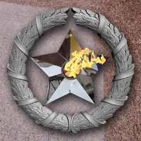 Венок вечный огонь чугун звезда нержавеющая сталь в Тотьме (518577)