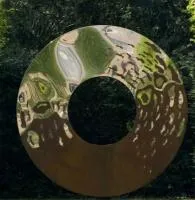 Уличный ДИЗАЙН — ЛИНЗА (519085) ∅ 1150 сталь AISI304 Тотьма 