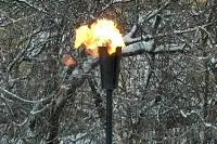 Факел садовый январь 2012 (197221) производство ø 65 мм. ветроустойчивая  в Тотьме