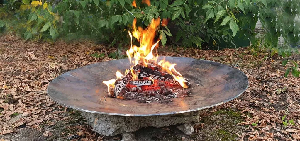 Металлическая чаша для костра АНТОНИНА купить с доставкой в Тотьму